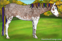 Horse Color:Painted Liver Chestnut Ice Sabino Splash 