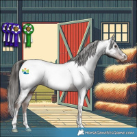 Horse Color:Liver Chestnut Appaloosa 