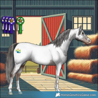 Horse Color:Liver Chestnut Appaloosa 