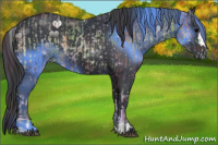 Horse Color:Nacre Blue Onyx and Black