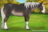 Horse Color:Liver Chestnut Mushroom Splash 