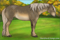 Horse Color:Chocolate Palomino Mushroom 