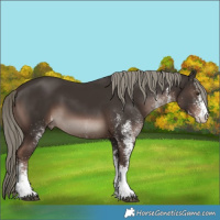 Horse Color:White Spotted Liver Chestnut Mushroom 