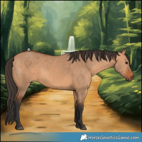 Horse Color:Bay Dun 