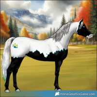 Horse Color:Perlino Dun Splash Rabicano