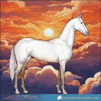 Horse Color:Gray Silver Sable Champagne 
