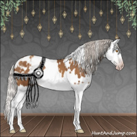 Horse Color:Gray White Spotted Silver Classic Champagne Splash Appaloosa