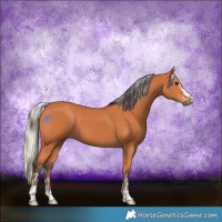 Horse Color:Bay  and Silver Bay 