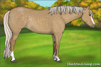 Horse Color:Silver Smoky Grullo Sabino Rabicano