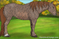 Horse Color:Chestnut Ice Sabino 