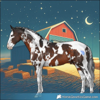 Horse Color:White Spotted Brown Splash Tobiano