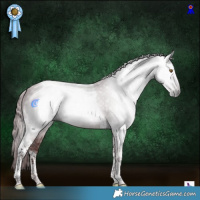 Horse Color:Gray Chocolate Black Chinchilla Tobiano 