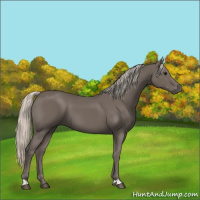 Horse Color:Silver Black 