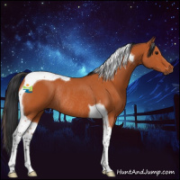 Horse Color:Bay Tobiano Rabicano 