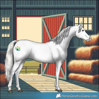 Horse Color:Silver Buckskin Appaloosa 