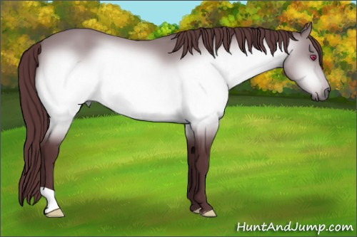 Horse Color:Chocolate Brown Chinchilla 