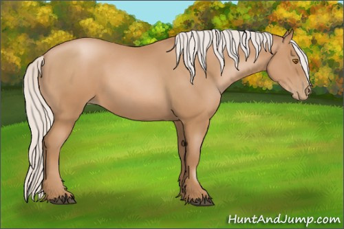 Horse Color:Silver Black Pearl 