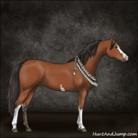 Horse Color:White Spotted Bay Sabino 