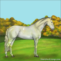 Horse Color:Platinum Watercolor White Spotted Chocolate Palomino Dun 