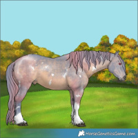 Horse Color:Watercolor White Spotted Brown Chinchilla Tobiano Rabicano 