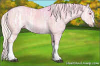 Horse Color:Watercolor Silver Grullo Chinchilla Ice Rabicano 