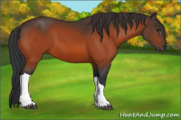 Horse Color:Brown 