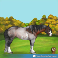 Horse Color:Brown 