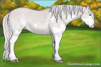 Horse Color:Platinum White Spotted Silver Buckskin Dun Splash 