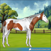 Horse Color:Silver Brown Splash Tobiano 