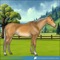 Horse Color:Silver Buckskin 