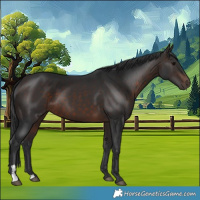Horse Color:Brown 