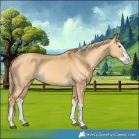 Horse Color:Palomino Dun Splash