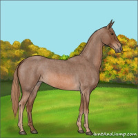 Horse Color:Red Roan 