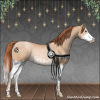 Horse Color:Buckskin Pearl Splash Rabicano 