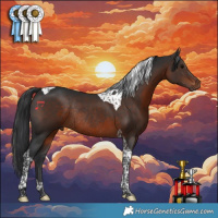 Horse Color:Brown Tobiano Rabicano 