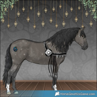 Horse Color:Grullo 