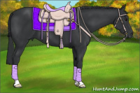 Horse Color:Black Chinchilla 