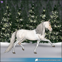 Horse Color:Silver Grullo Roan Pearl Tobiano Frame 