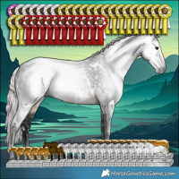 Horse Color:Gray White Spotted Silver Smoky Black 