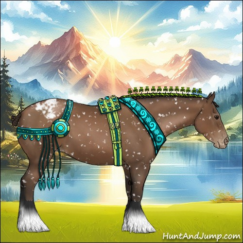 Horse Color:Gray Black Pearl Appaloosa 