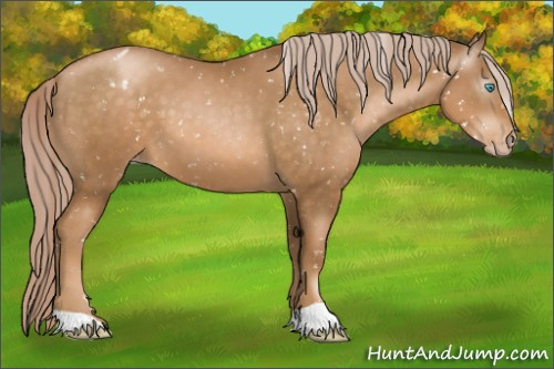 Horse Color:Gray Palomino Pearl Appaloosa 