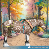 Horse Color:Gray Black Pearl Tobiano Appaloosa 