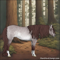 Horse Color:Chocolate Brown Chinchilla Dun 