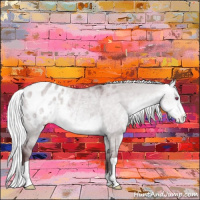 Horse Color:Chocolate Silver Buckskin Chinchilla Dun Appaloosa 