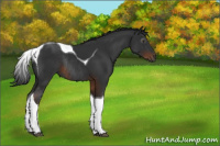 Horse Color:Gray Liver Chestnut Tobiano Rabicano