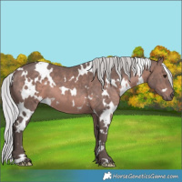 Horse Color:Platinum White Spotted Silver Brown 