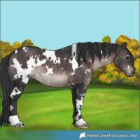 Horse Color:Platinum White Spotted Brown 