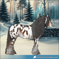 Horse Color:Liver Chestnut Tobiano Near Leopard 