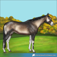 Horse Color:Brown Onyx 