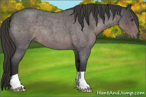 Horse Color:Platinum Liver Red Roan 